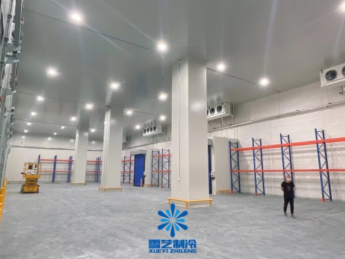 建設一個大型冷庫造價投資成本多少錢？